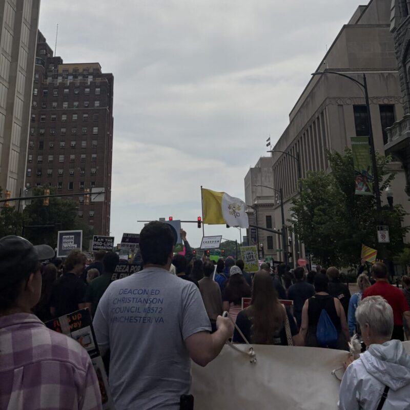 A crowd of people marches down a city street between tall buildings under a cloudy sky, holding signs and banners calling for a stronger pro-life safety net during a protest.