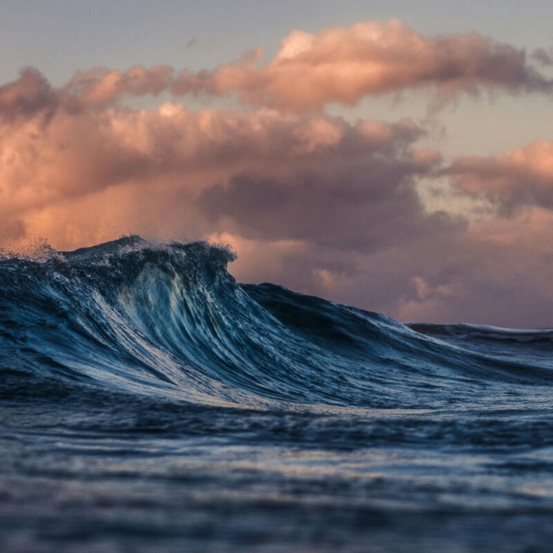 A close-up of an ocean wave rising against a backdrop of dramatic, pink-tinged clouds at sunset, embodying nature’s pro-life safety net as the deep blue water reflects the soft light of the sky.